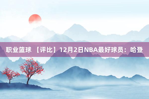 职业篮球 【评比】12月2日NBA最好球员：哈登