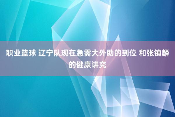 职业篮球 辽宁队现在急需大外助的到位 和张镇麟的健康讲究