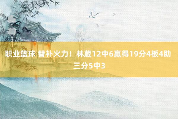 职业篮球 替补火力！林葳12中6赢得19分4板4助 三分5中3