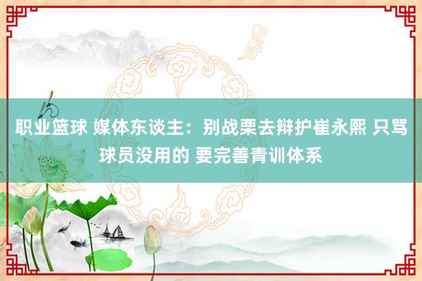 职业篮球 媒体东谈主：别战栗去辩护崔永熙 只骂球员没用的 要完善青训体系