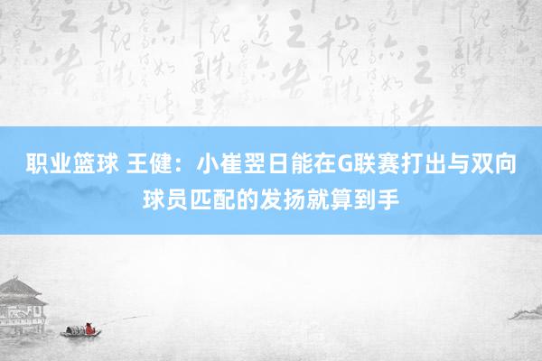 职业篮球 王健：小崔翌日能在G联赛打出与双向球员匹配的发扬就算到手