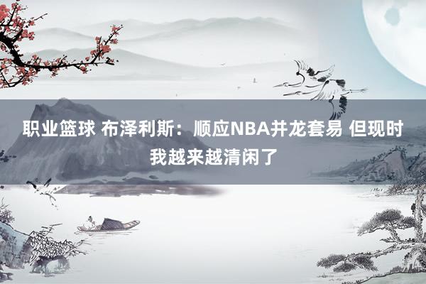 职业篮球 布泽利斯：顺应NBA并龙套易 但现时我越来越清闲了