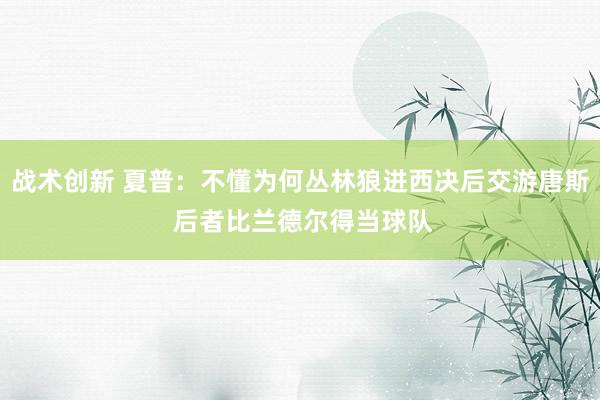 战术创新 夏普：不懂为何丛林狼进西决后交游唐斯 后者比兰德尔得当球队