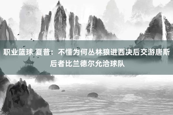 职业篮球 夏普：不懂为何丛林狼进西决后交游唐斯 后者比兰德尔允洽球队