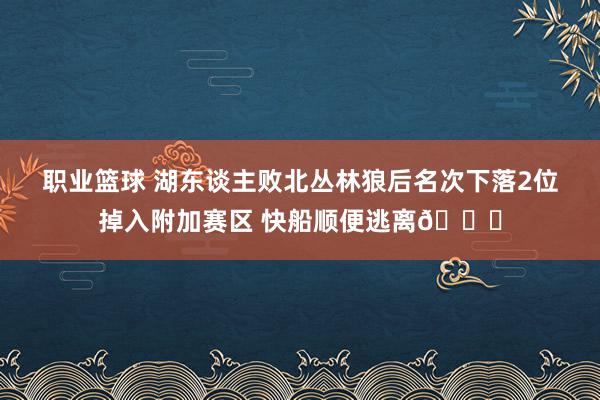 职业篮球 湖东谈主败北丛林狼后名次下落2位掉入附加赛区 快船顺便逃离😋