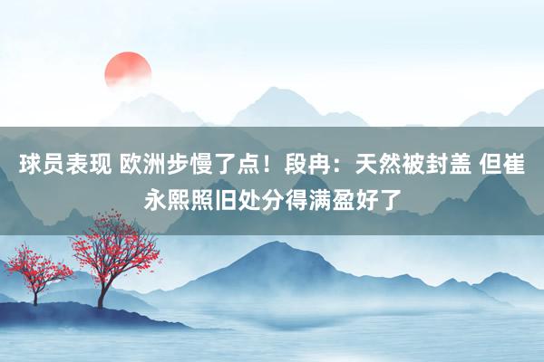 球员表现 欧洲步慢了点！段冉：天然被封盖 但崔永熙照旧处分得满盈好了