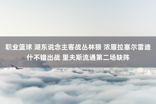 职业篮球 湖东说念主客战丛林狼 浓眉拉塞尔雷迪什不错出战 里夫斯流通第二场缺阵